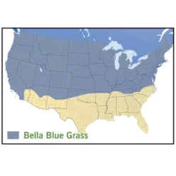 Bella™ Bluegrass Grass Plugs -Lush Garden Home bella blue grass map