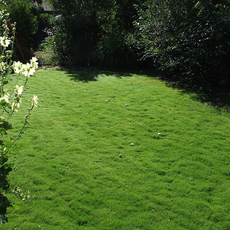 Dog Tuff™ Grass Plugs 8 Dog Tuff™ Grass Plugs - Image 8